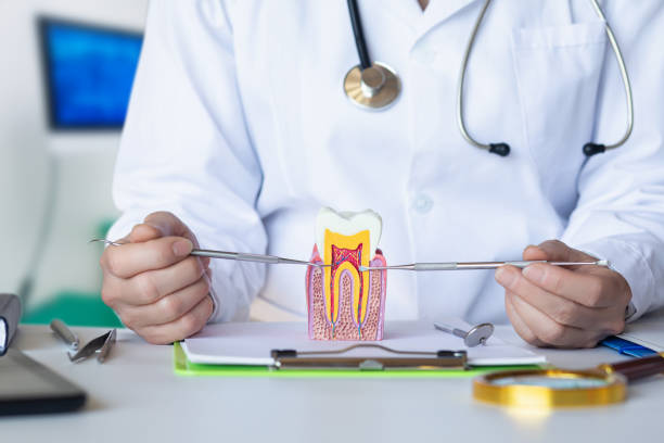Best Emergency TMJ Treatment in Wmette, IL
